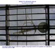 looking up at arecibo antenna